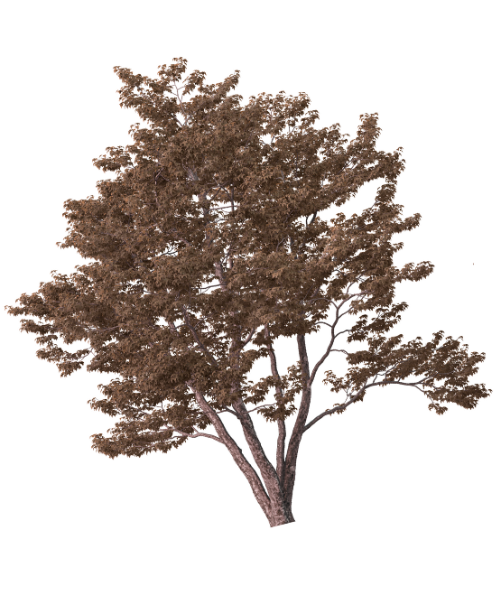 Web Invitation By Idzi